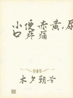 小便赤黄,尿道口疼痛