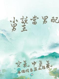 小说当男配掰弯男主