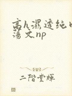高h湿透纯肉放荡文np