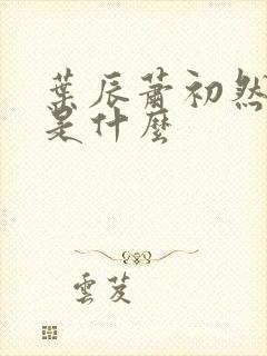 叶辰萧初然结局是什么