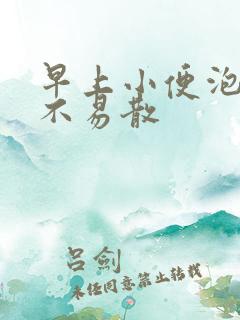 早上小便泡沫多不易散