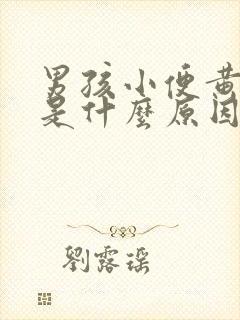 男孩小便黄有味是什么原因