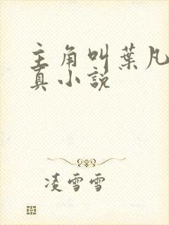 主角叫叶凡的修真小说