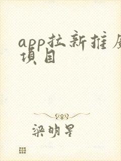 app拉新推广项目