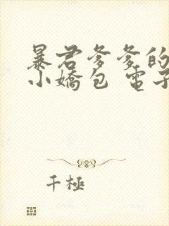 暴君爹爹的团宠小娇包 电子书下载