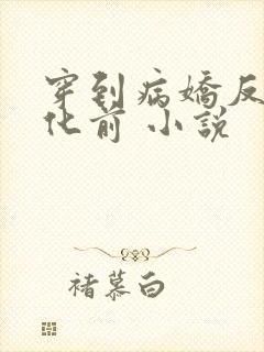 穿到病娇反派黑化前 小说