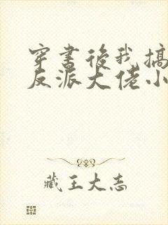 穿书后我搞到了反派大佬小说