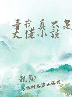 看我真不是女装大佬小说