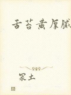 舌苔黄厚腻口苦