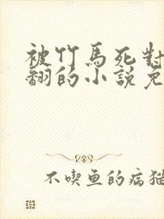 被竹马死对头吵翻的小说免费阅读