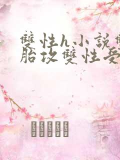 双性h小说双胞胎攻双性受