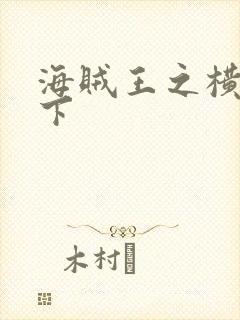 海贼王之横行天下