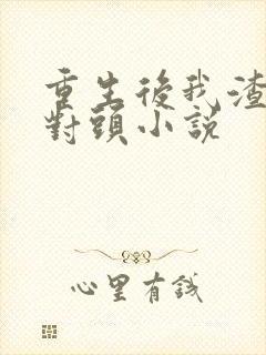 重生后我渣了死对头小说