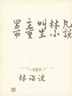 男主叫林凡的都市重生小说