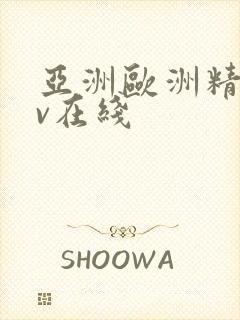 亚洲欧洲精品av在线