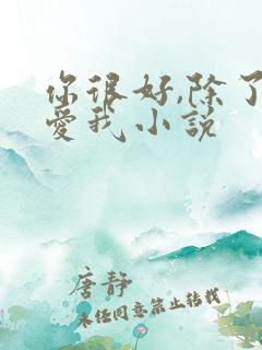 你很好,除了不爱我小说