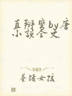 直掰弯by唐澍小说全文