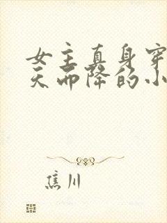 女主真身穿越从天而降的小说