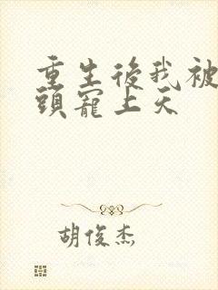 重生后我被死对头宠上天