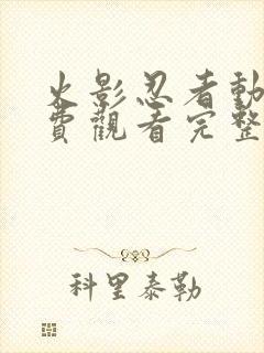 火影忍者动漫免费观看完整版