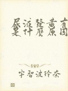 尿液发黄有气味是什么原因