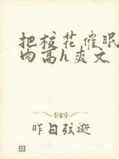 把校花催眠了纯肉高h爽文