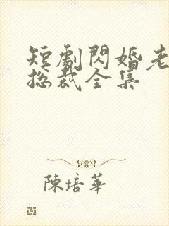 短剧闪婚老公是总裁全集