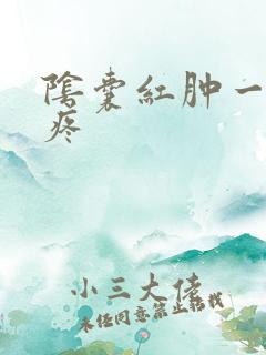 阴囊红肿一碰就疼