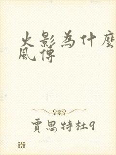 火影为什么叫疾风传