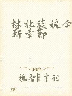 林北苏婉今天最新章节