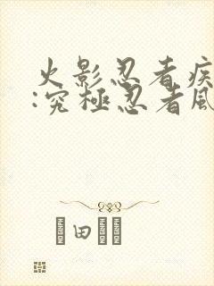 火影忍者疾风传:究极忍者风暴