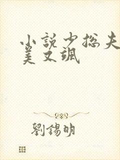 小说少总夫人又美又飒