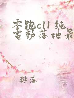 零跑c11 纯电动落地最低多少钱