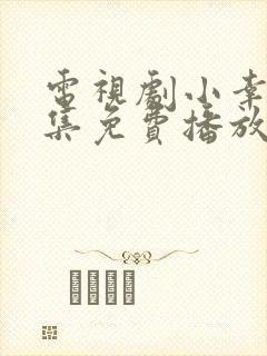 电视剧小幸福全集免费播放