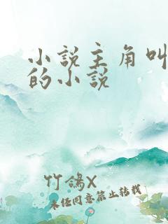 小说主角叫苏阳的小说