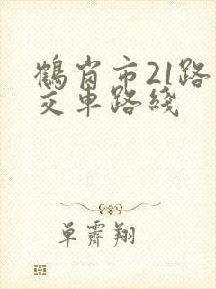 鹤岗市21路公交车路线