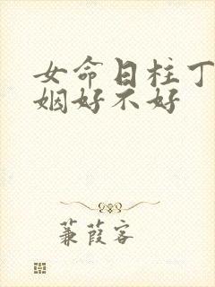 女命日柱丁巳婚姻好不好