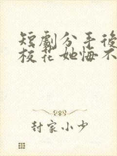 短剧分手后高冷校花她悔不当初