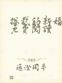 总裁的新婚罪婚免费阅读