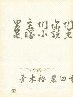 男主们你们是不是瞎小说免费阅读