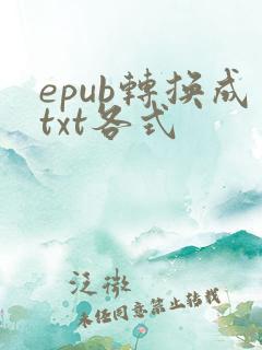 epub转换成txt各式