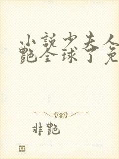 小说少夫人她惊艳全球了免费阅读