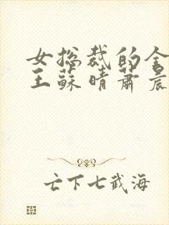 女总裁的全能兵王苏晴萧晨