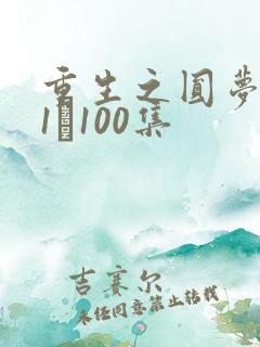重生之圆梦人生1–100集