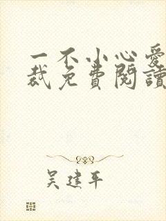 一不小心爱上总裁免费阅读