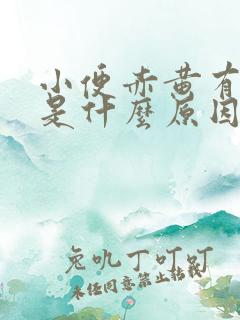 小便赤黄有异味是什么原因