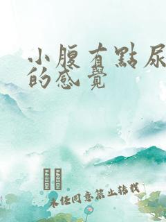 小腹有点尿不尽的感觉