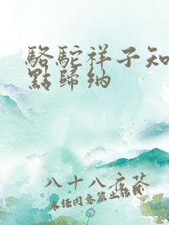 骆驼祥子知识考点归纳