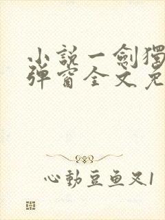 小说一剑独尊无弹窗全文免费阅读