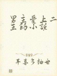 男主爱上二婚女主的小说